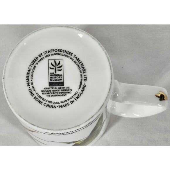 STAFFORDSHIRE SCARLET-COLLARED PARAKEET MUG - VIBRANT & ELEGANT! - Picture 6 of 6